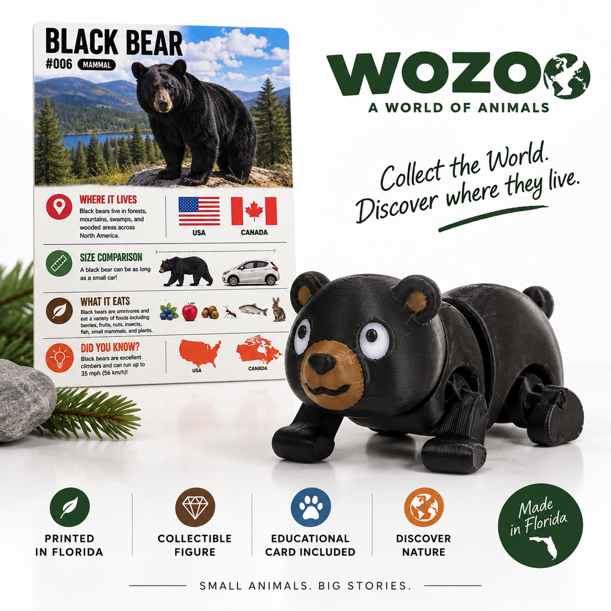 BLACK BEAR