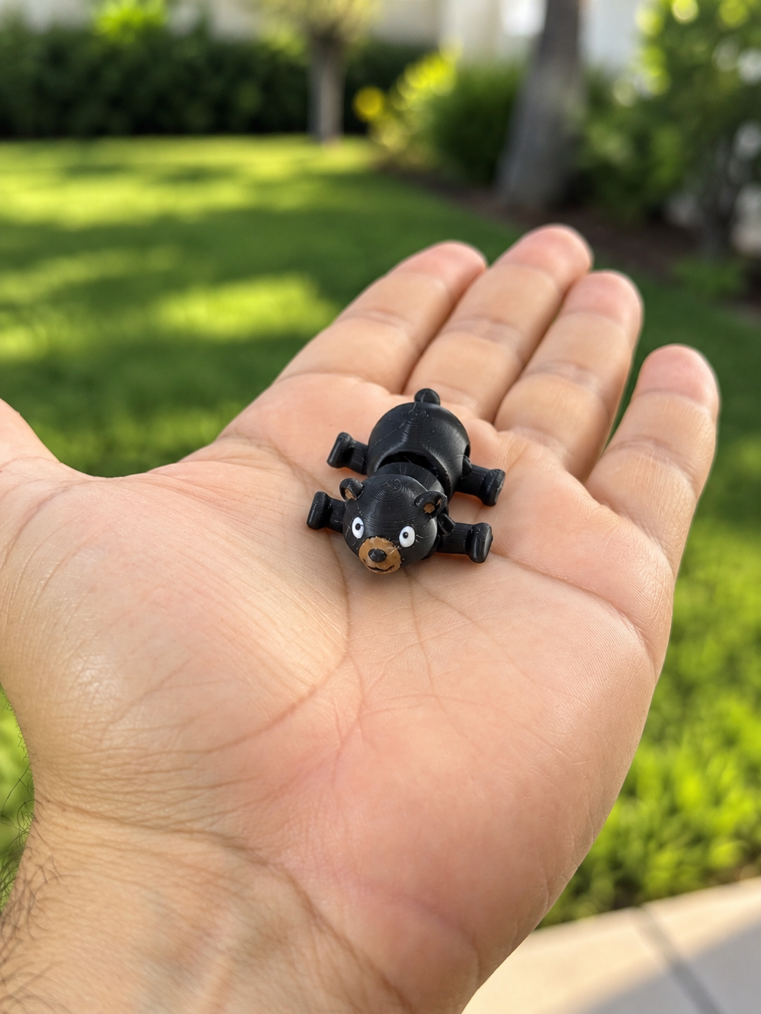 BLACK BEAR
